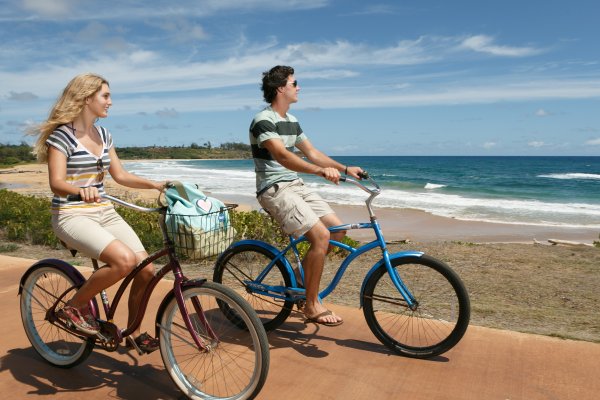 Coconut Coast Accommodations Tile Image