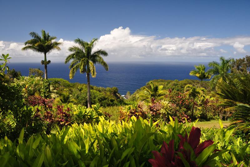 Your First Maui Trip