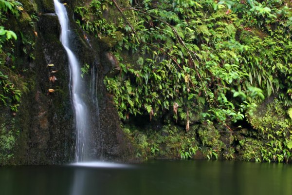 Haipuaena Falls Tile Image