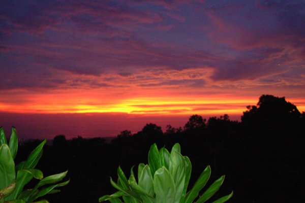 Hale Hualalai Bed and Breakfast Tile Image