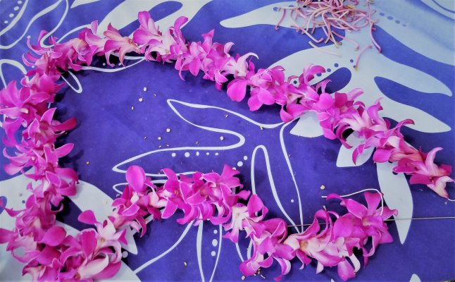 Hawaiian lei necklace souvenir to get from Hawaii