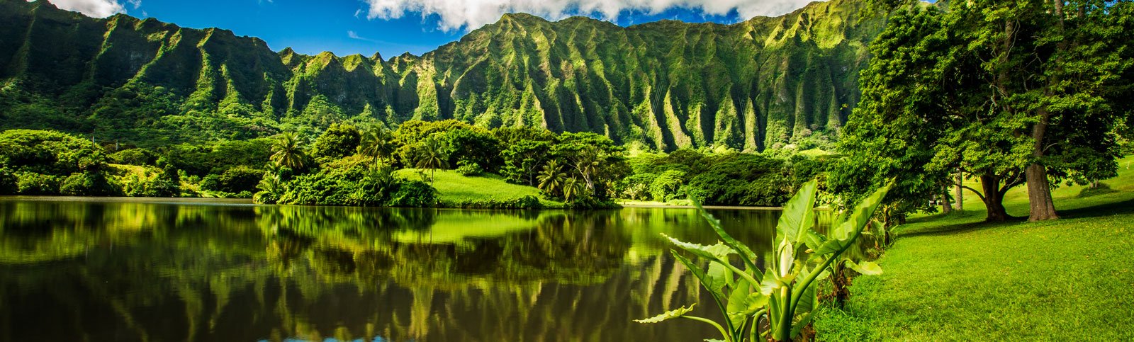 Ho’omaluhia Botanical Garden - Oahu