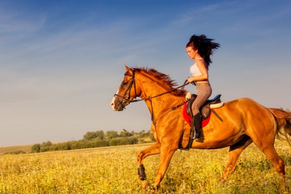 Waipio Valley Horseback Adventure Tile Image