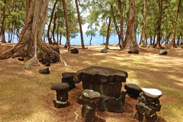 MacKenzie State Park Image