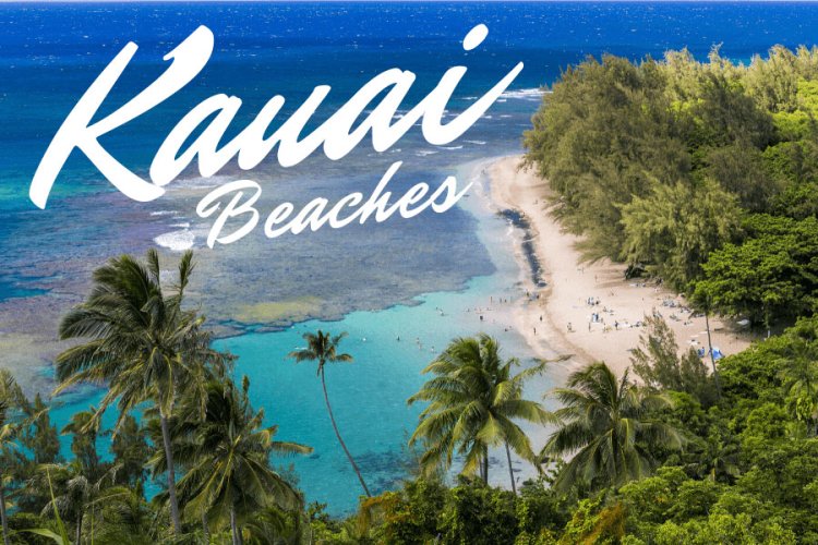 Kauai Beaches Image