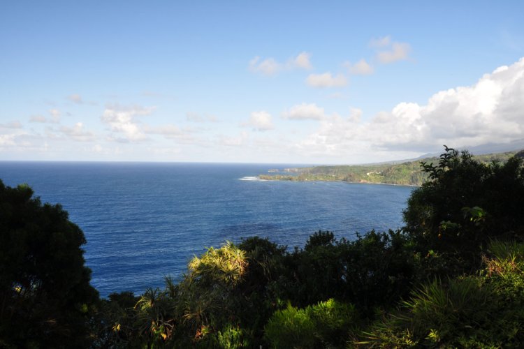 Kaumahina State Wayside Park Image