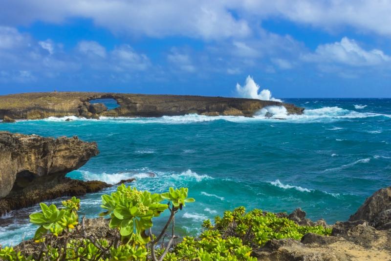 Top 5 Things to Do in Laie 