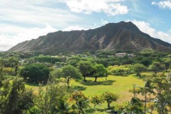 Lotus Honolulu Tile Image