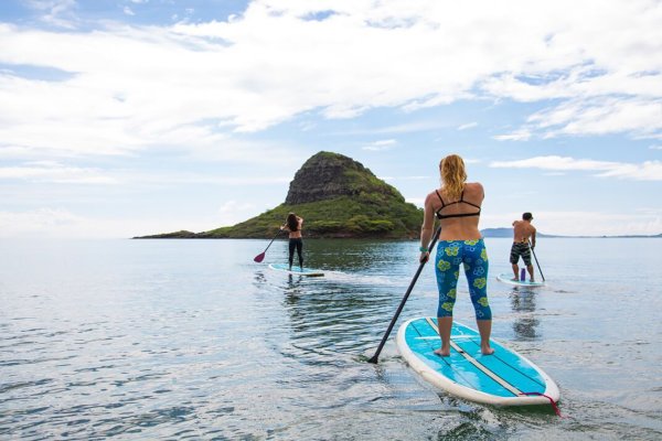 Experience Oahu's Full Day Adventure Tile Image