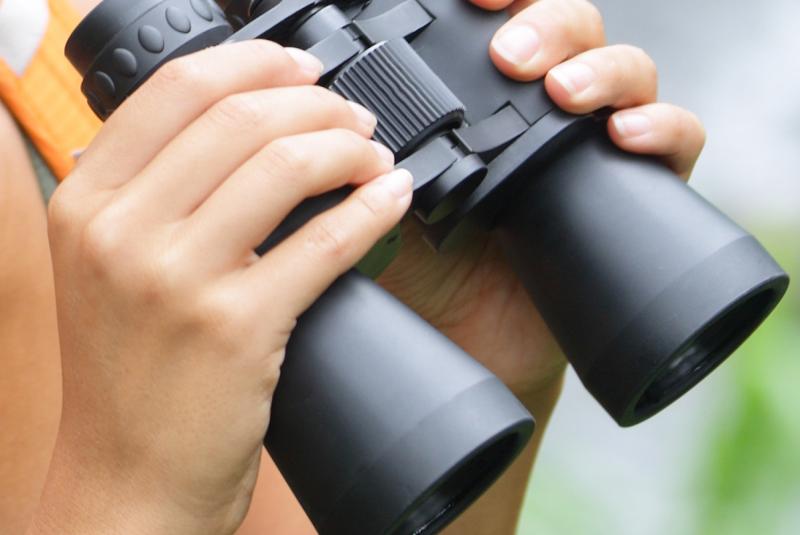 Maui Birdwatching Tours