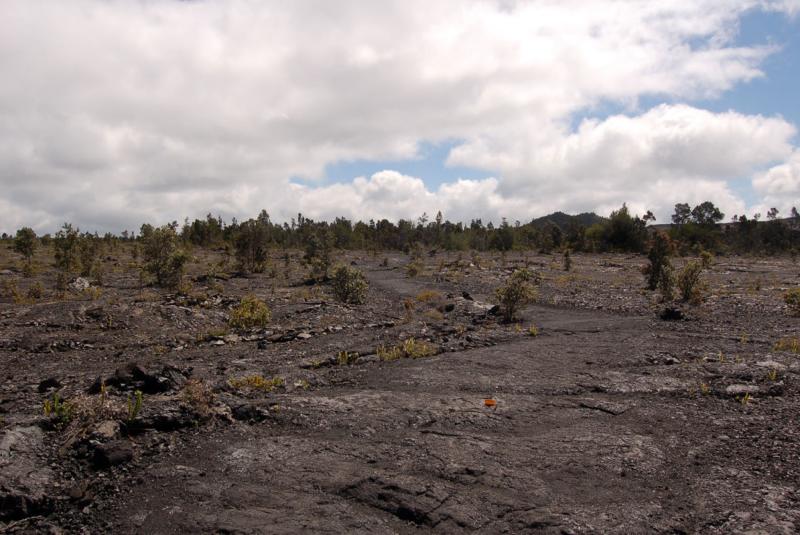 Napau Crater Trail