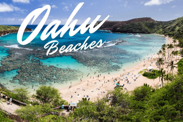 Oahu Beaches Image