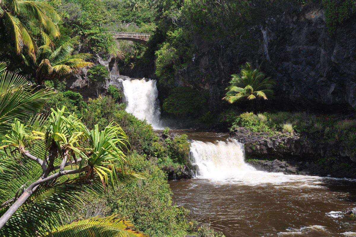 One of the many lovely waterfalls at the Oheo Gulch Kipahulu