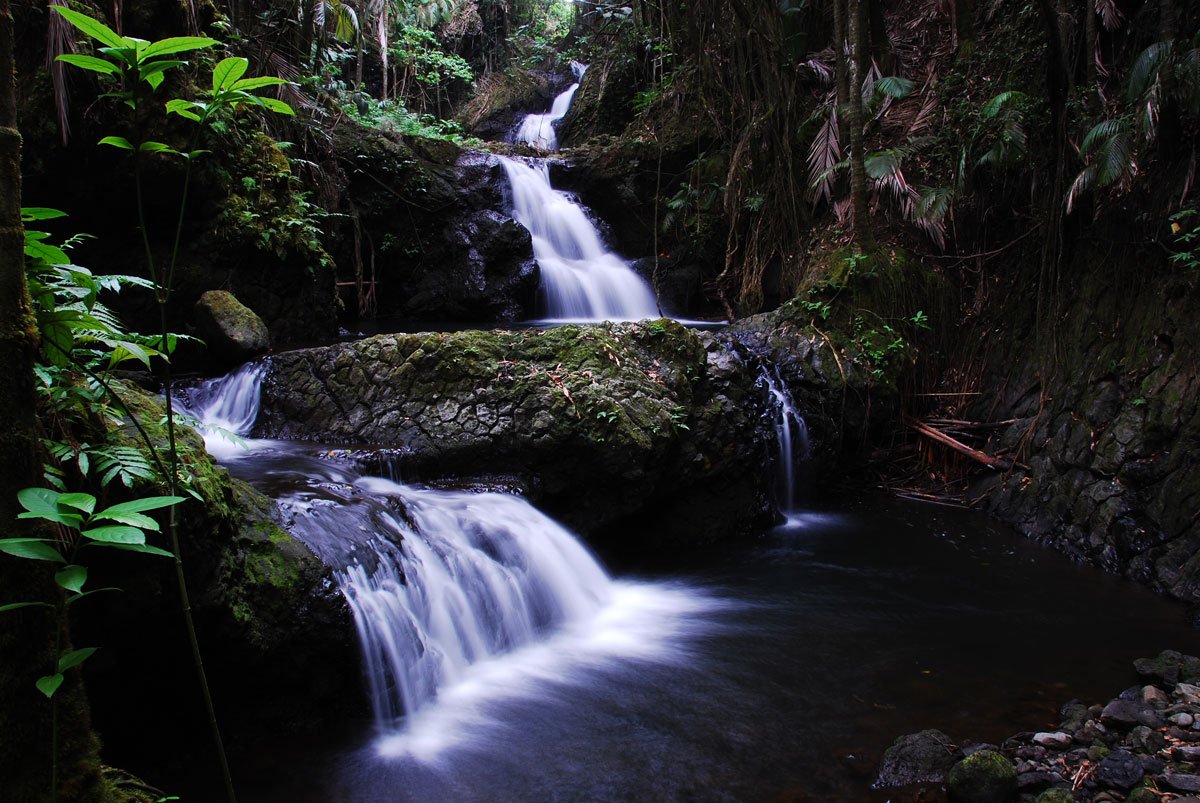 Onomea Falls