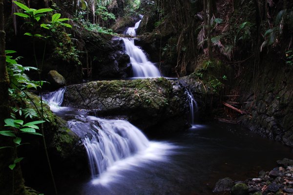 Onomea Falls Tile Image