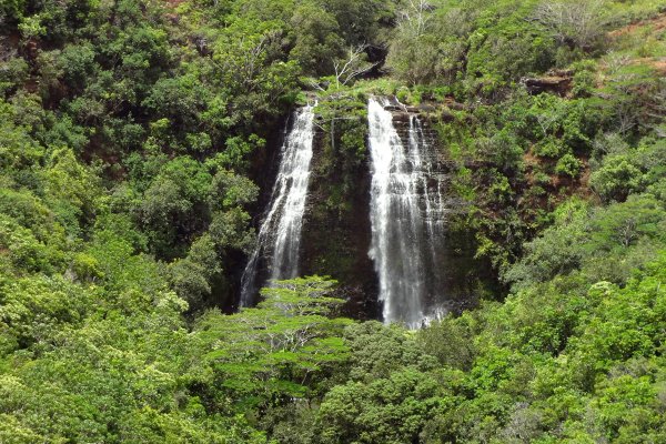 Opaekaa Falls Tile Image