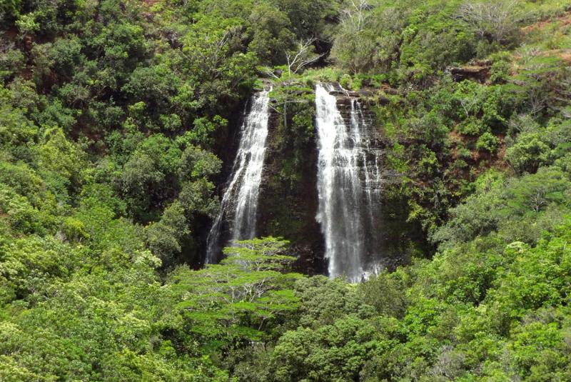 Opaekaa Falls