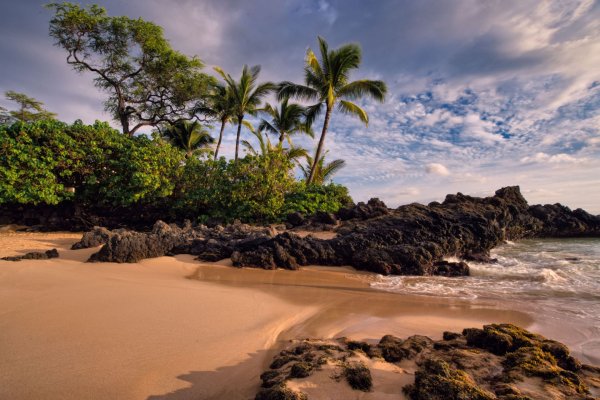 6 Incredible Outdoor Adventures to Book in Maui Tile Image