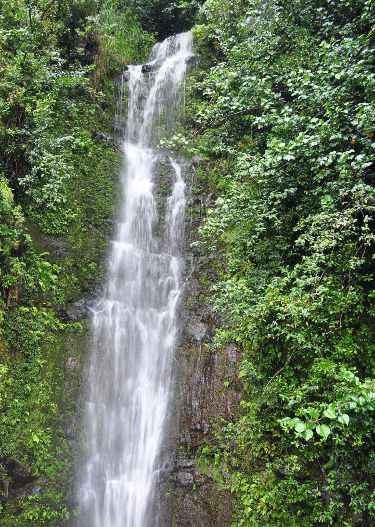 Paihi Falls