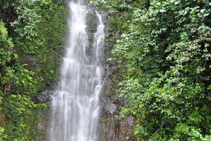Paihi Falls