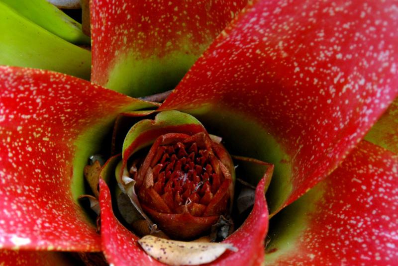 Panaewa Zoo and Equestrian Center