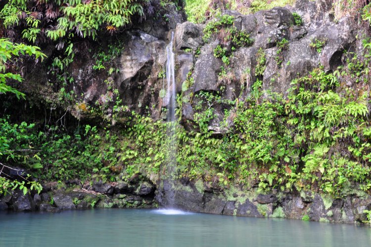 Puaa Kaa State Wayside Park Image