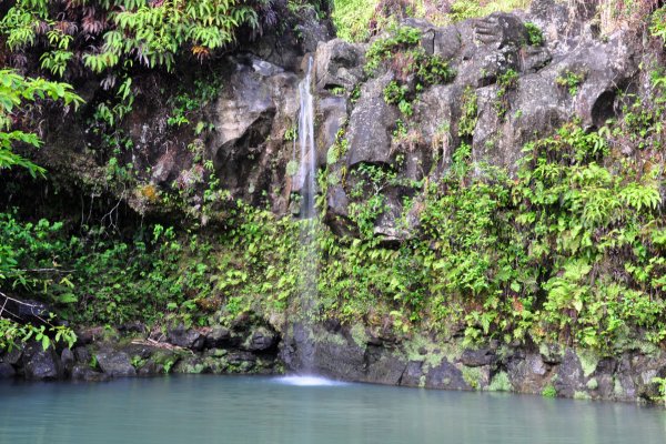 Puaa Kaa State Wayside Park Tile Image