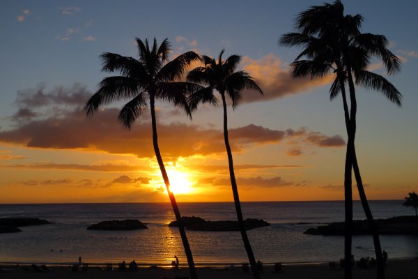 Sunset Catamaran Dinner Cruise Tile Image
