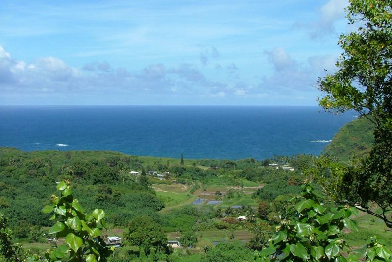 Wailua Town