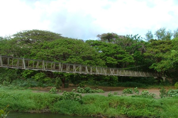 Waimea Swinging Bridge Tile Image