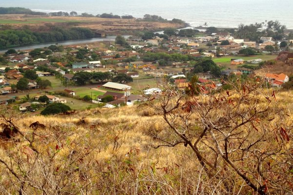 Waimea Town Tile Image