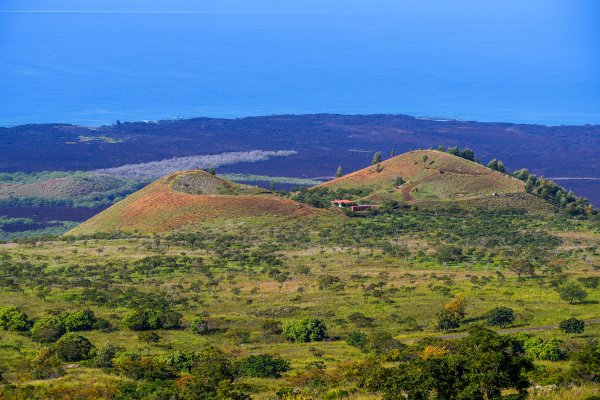 ‘Ahihi-Kīna‘u Natural Area Reserve: Protected Marine Life