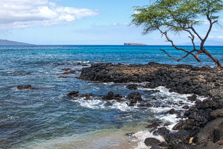 Ahihi Kina’u Natural Area Reserve Image