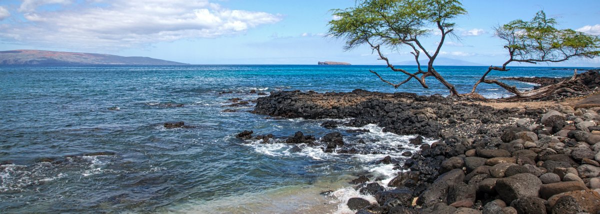Ahihi-Kina'u Natural Area Reserve