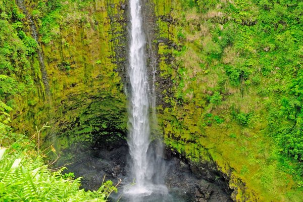 Akaka Falls State Park Tile Image