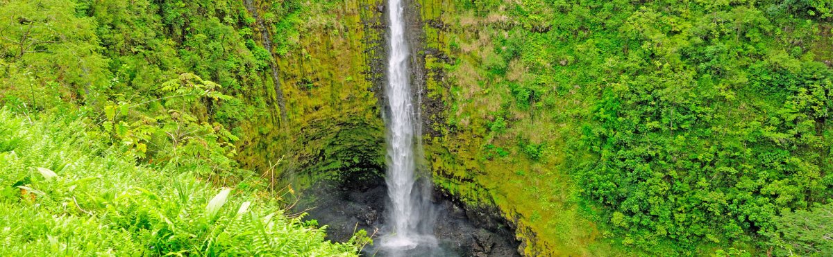 Akaka Falls State Park