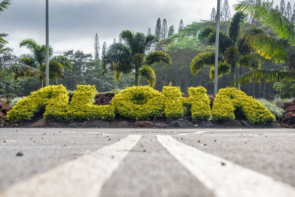 Hawaiian Words to Know for Your Vacation Tile Image