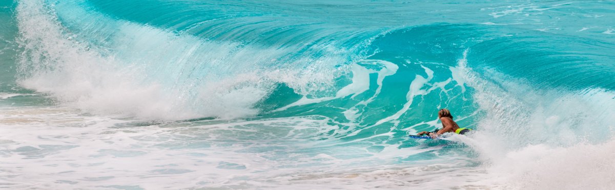 Waikiki Beach Services - Oahu Tours