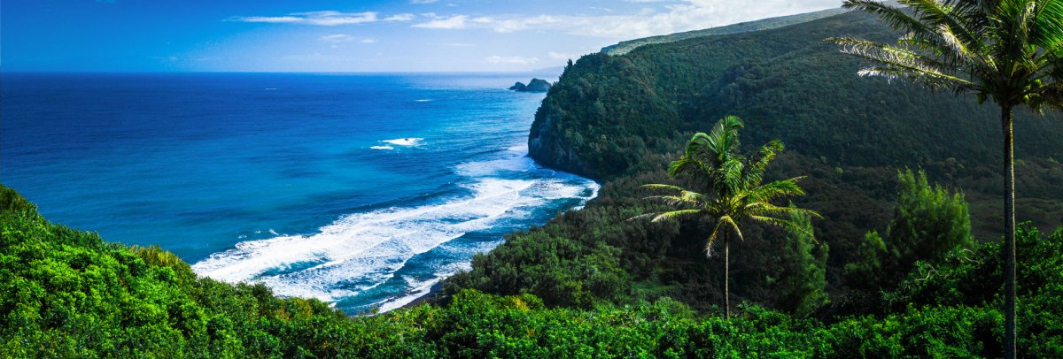 Best Time To Visit Big Island Hawaii - Months & Why