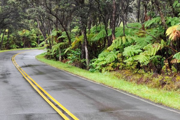 Why Driving Is the Best Way to Get Around Hawaii Tile Image