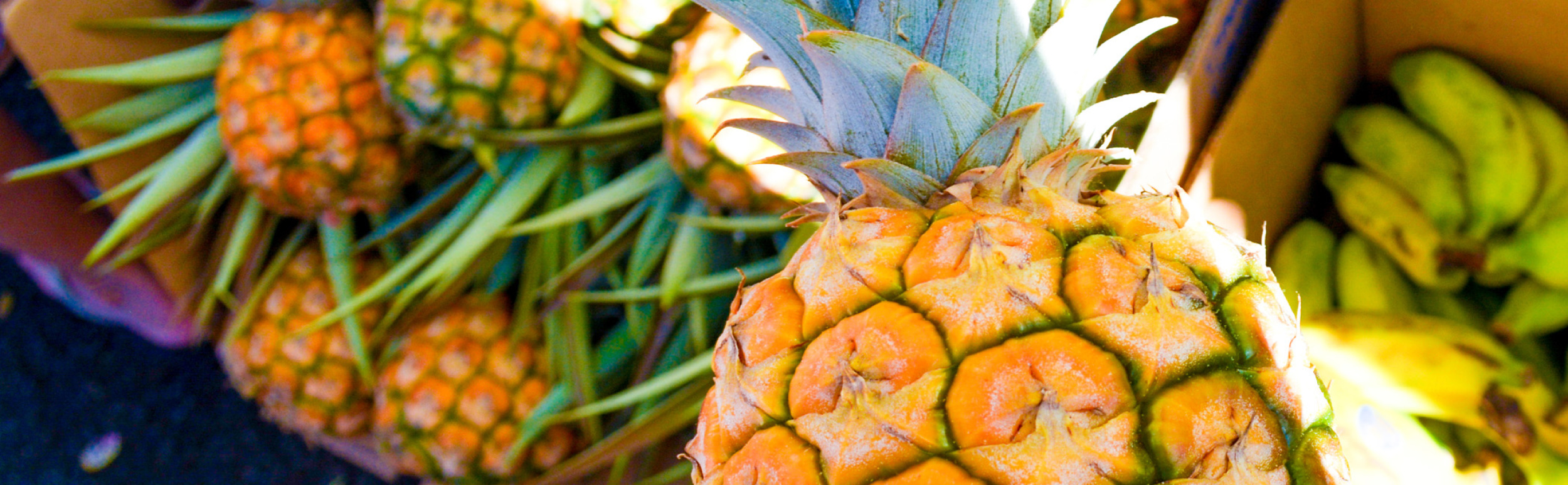 Hawaii's Best Farmers' Markets & Local Produce