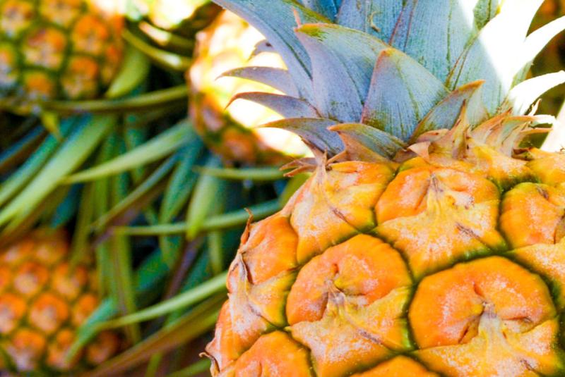 Hawaii Best Farmers' Markets 