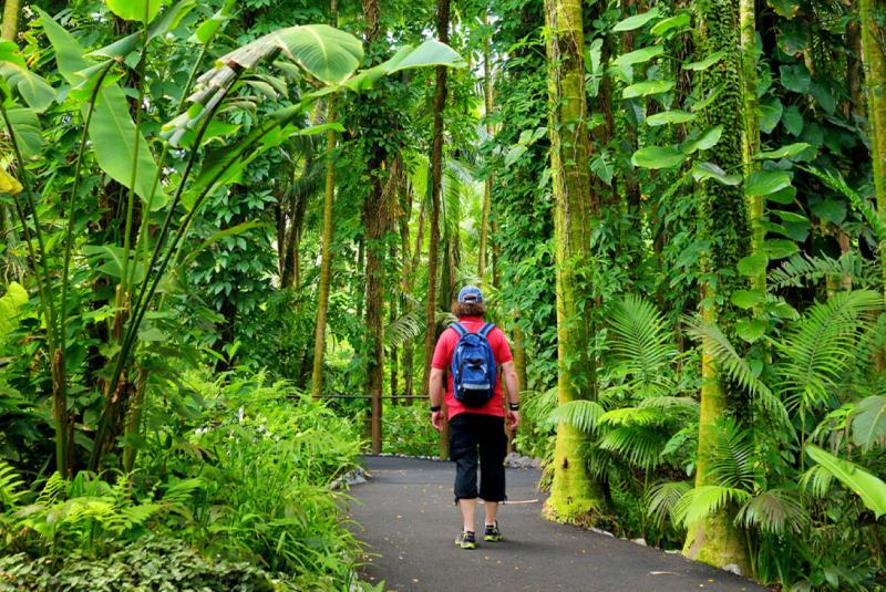Big Island Hikes