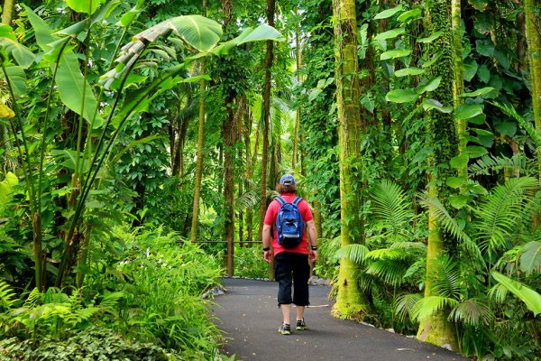 Big Island Hikes Tile Image