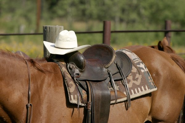 Horseback Riding Tours