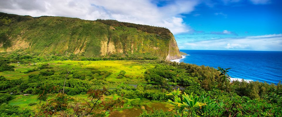 Moving to the Big Island