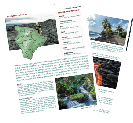 Detailed Overview of the Big Island's Regions Image