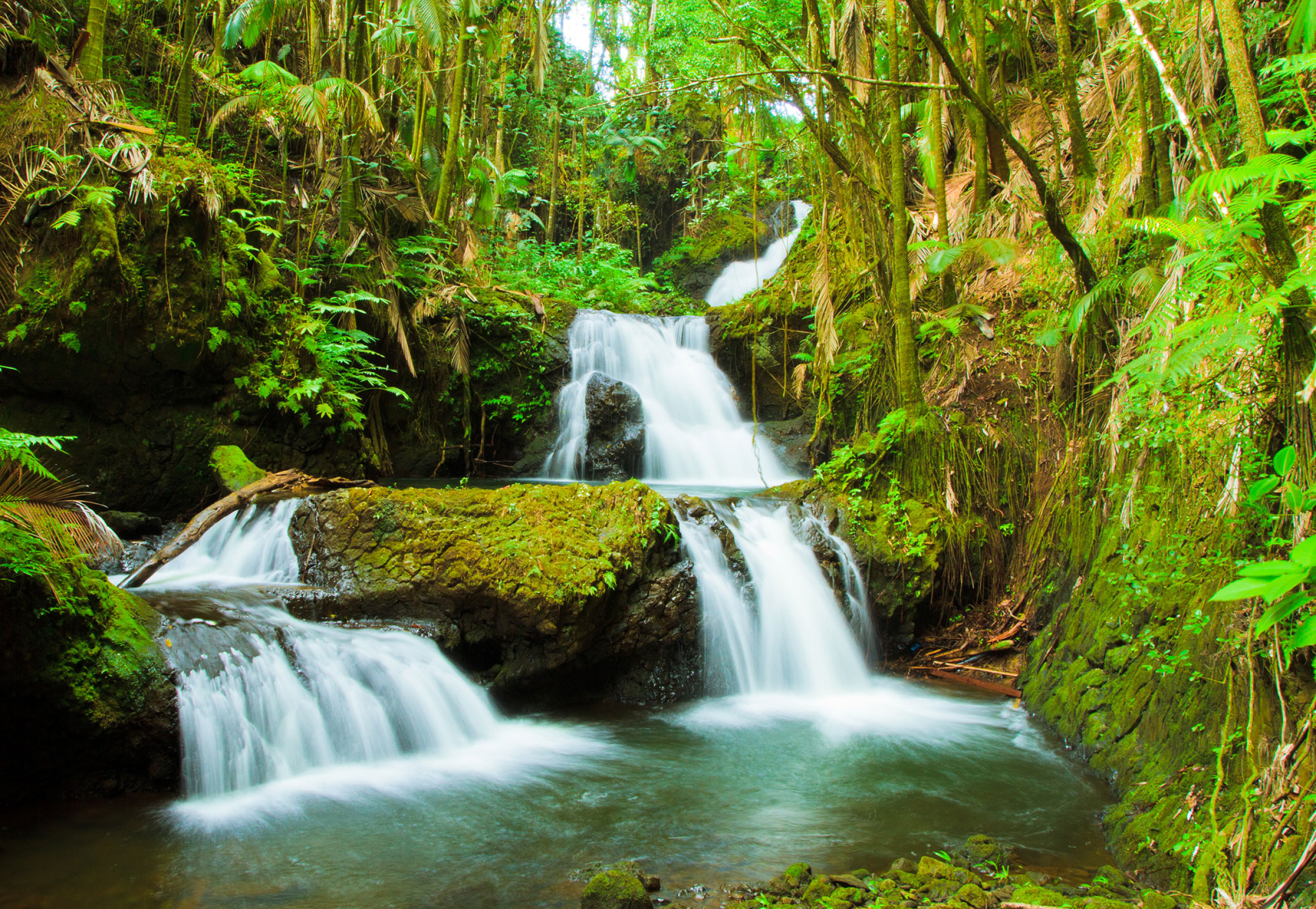 Hilo Ocean Adventures - Big Island Tours