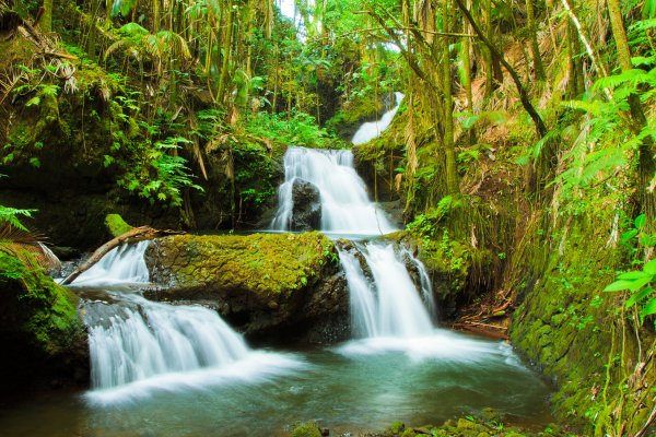 Big Island Waterfall Adventures Tile Image