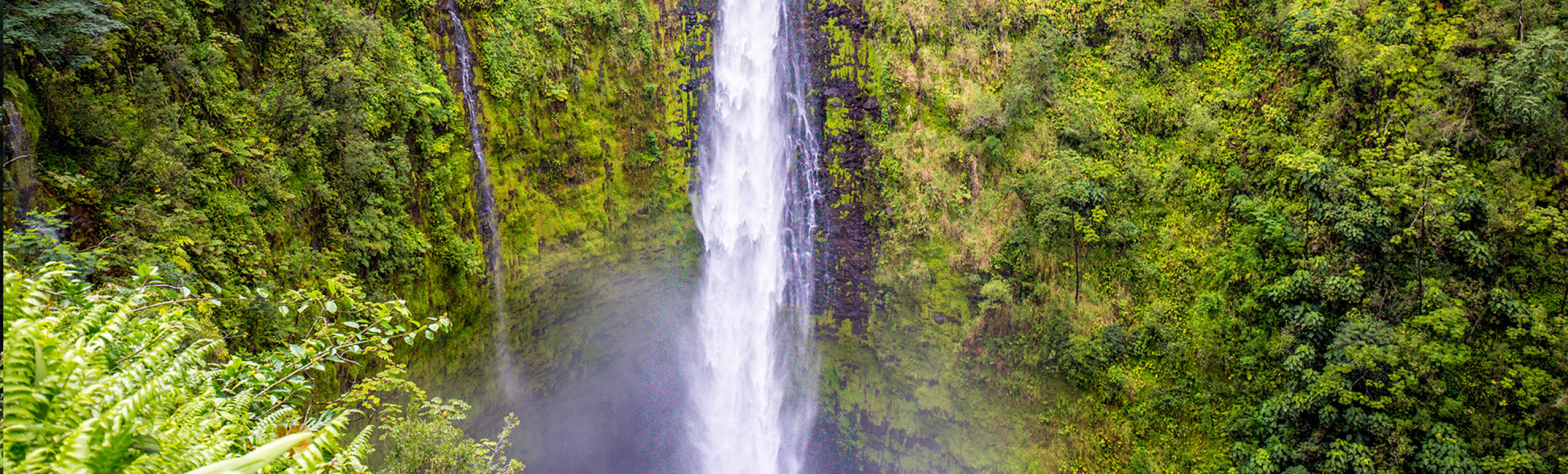 Top Waterfalls To Visit & See | Big Island Hawaii